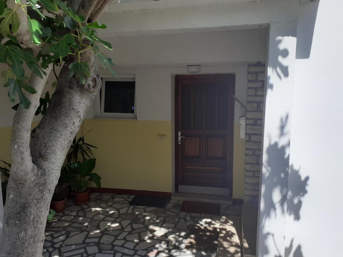 Apartmani Karuza نوفاليا المظهر الخارجي الصورة